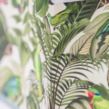Awesome - Urban Jungle Zentral, Wilhelmshoehe Kassel