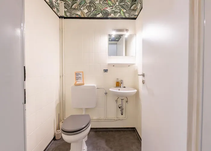 Urban Jungle Wilhelmshoehe By Awesome *