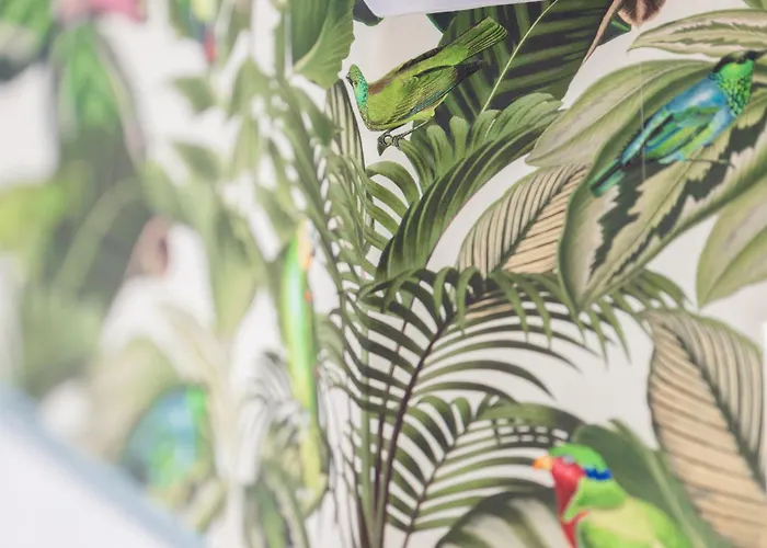 Urban Jungle Wilhelmshoehe By Awesome Kassel